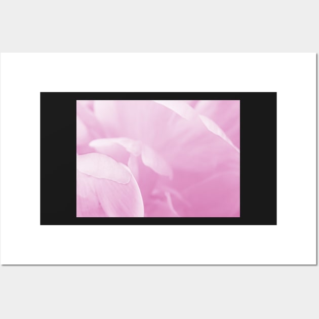 Peony Petals Wall Art by LaurieMinor